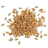ingredients_transparent_03 https://craftbeers.axessdata.se/wp-content/uploads/2017/05/ingredients_transparent_03.png